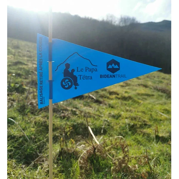 Balisage-le-papa-tétra